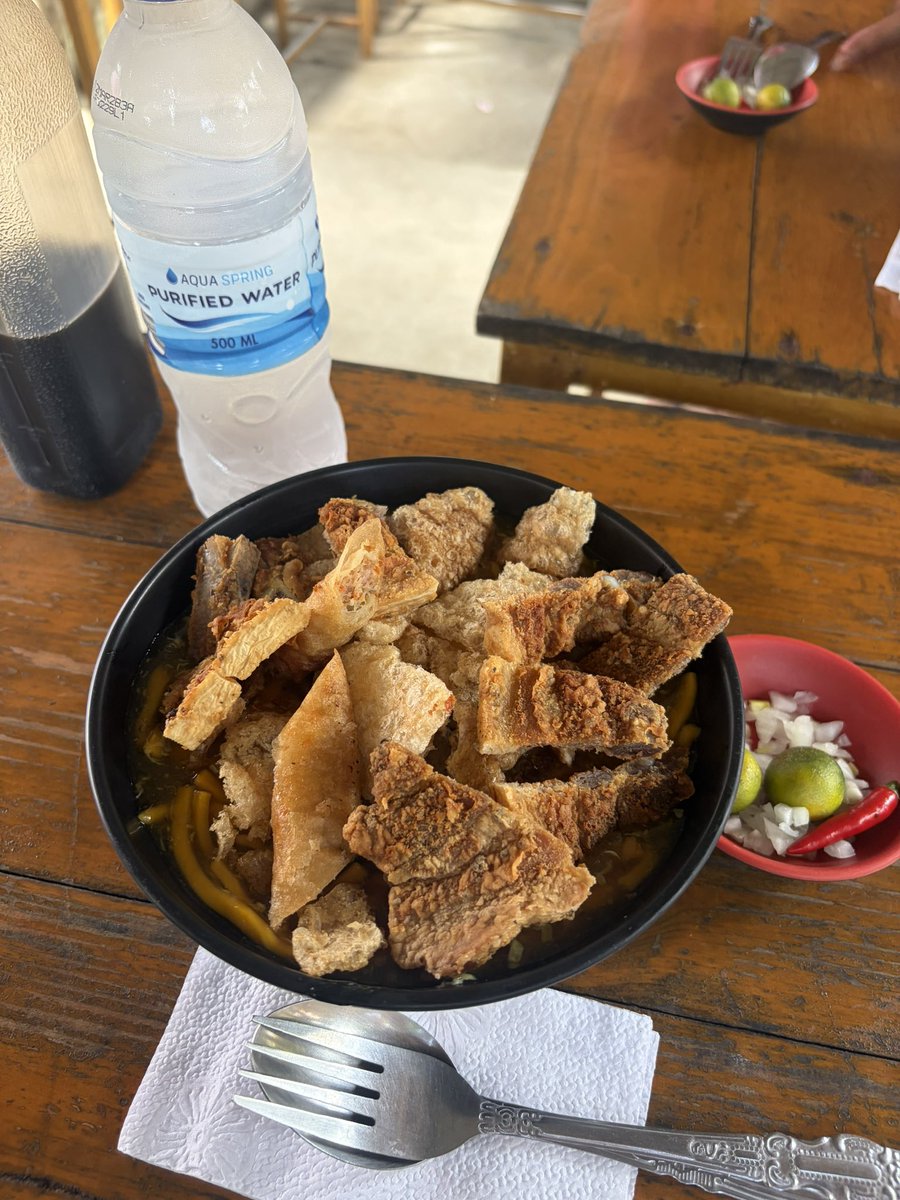 meg314meg's tweet photo. lunchの時🍴
いとこ達オススメの
タガイタイのオリジナルラーメンらしい🍜🇵🇭The 茶色🐷！！笑

食べ終わった後
猫ちゃん近寄ってきた🐱 https://t.co/AN8BcmsYRm