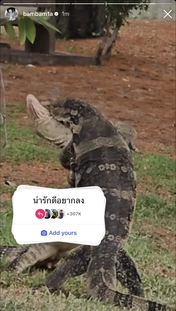 alahof's tweet photo. 55555555555555อ้วงงงงง เผยแพร่ความเปงไทยสุด https://t.co/3oJs6kK4HD