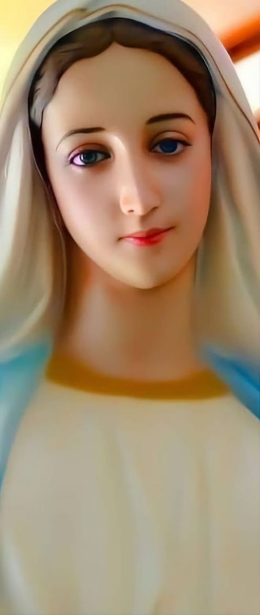 justchinonye's tweet photo. Mary, Virgin most admirable,
Pray for us https://t.co/jfuIcMhLLi