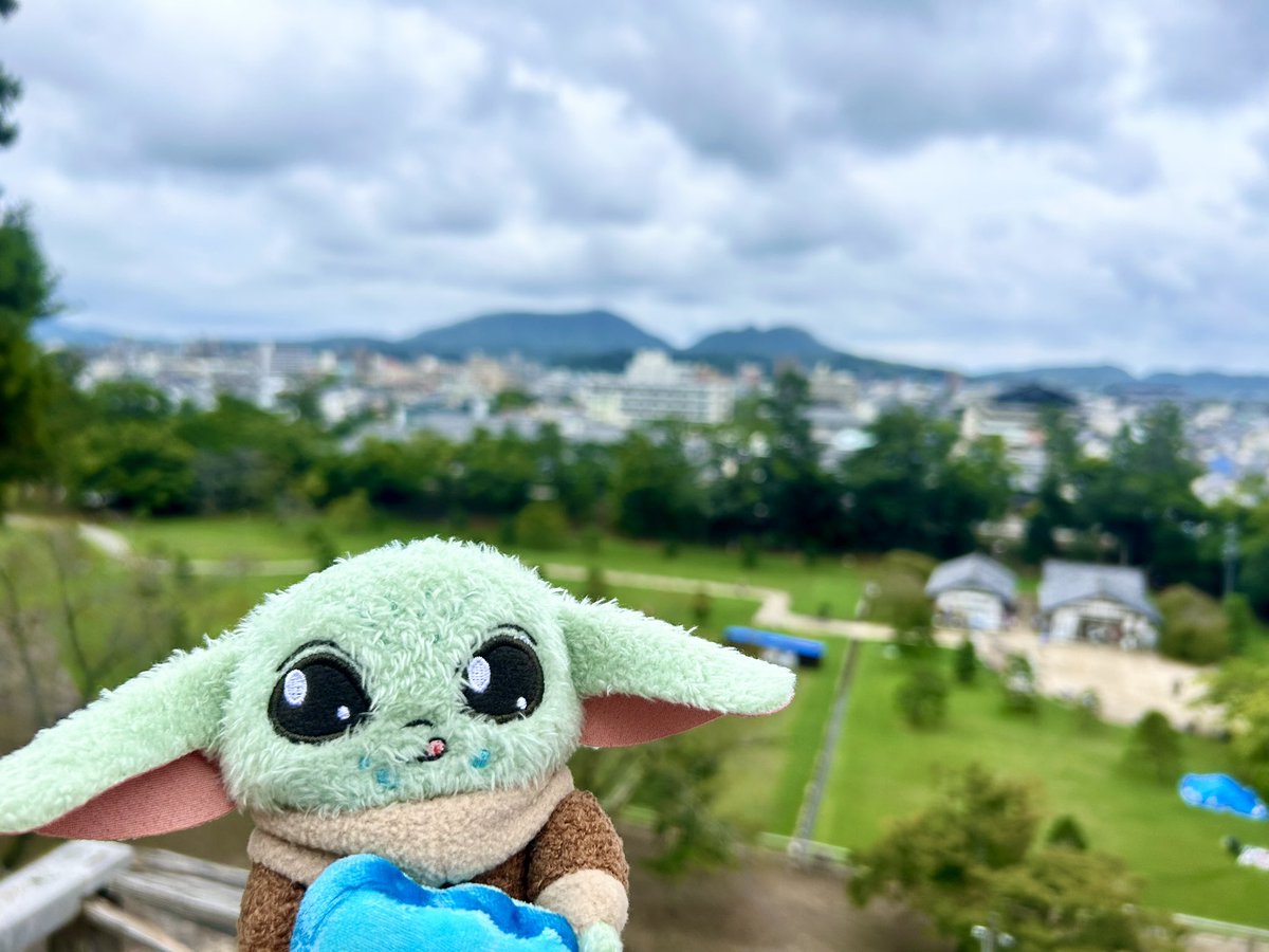 kimi_buu's tweet photo. 松江城いった🏯
まつぼっくりいっぱい落ちてたね〜 https://t.co/vLAtBmv15D