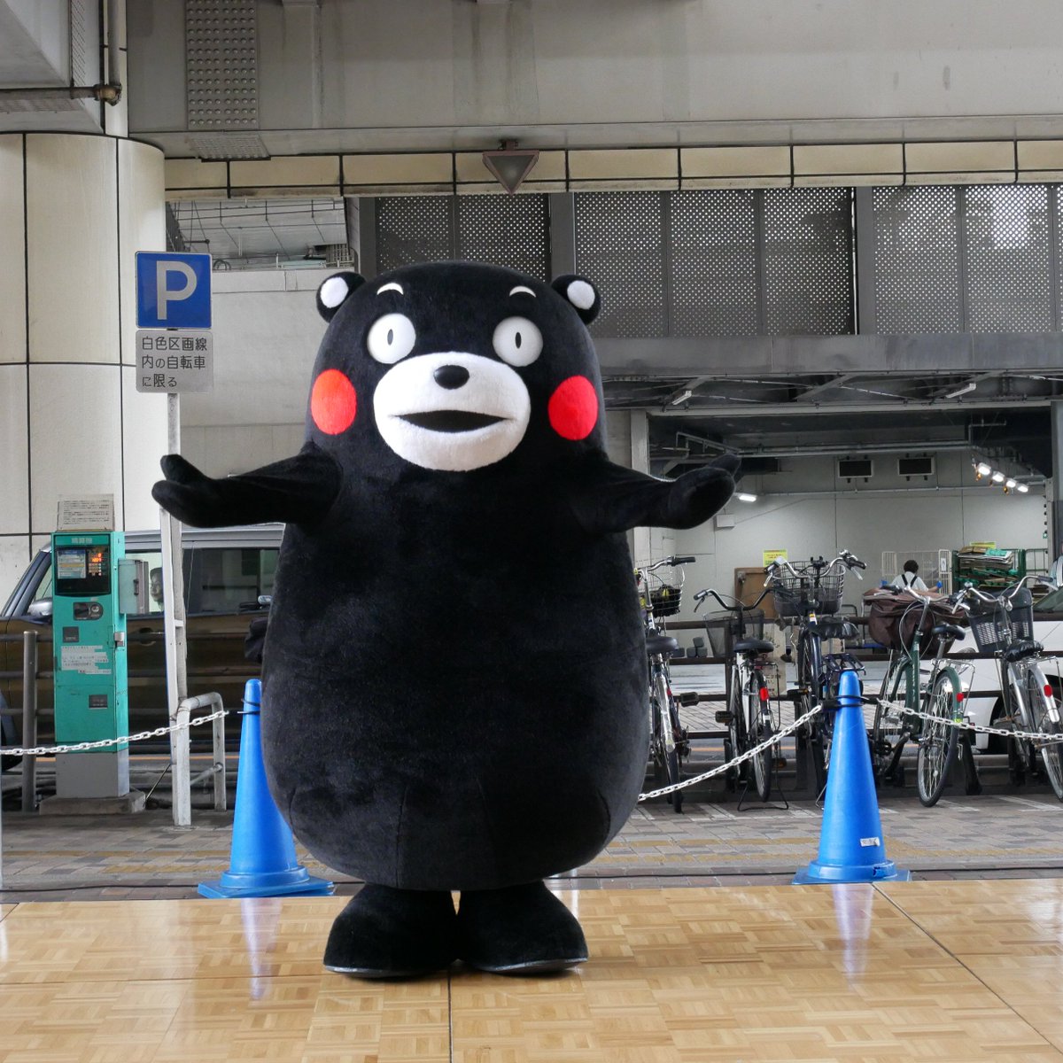 yuncaasu's tweet photo. 今日の　#くまモン
そごう千葉店　1回目赤法被 2回目裸んぼう
映画の踊る捜査線とドラマTシャツが乾くまでをベースに ウーウーと手で赤色灯点滅したり Tシャツならぬ くま毛が乾くまで踊ったり元��いっぱいでした😀 https://t.co/7W9Ikte32z