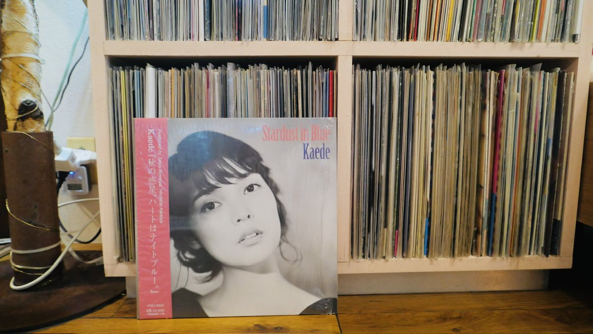 izufishing's tweet photo. Autumn has come
秋が一番似合うレコードを聴きながら自宅で仕事
秋刀魚が食べたくなった。。 https://t.co/5YyQ1xlyI9