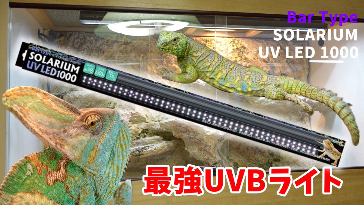 fuji_piko1215's tweet photo. 【YouTube更新🖖】
大型ケージに最適！ゼンスイ「バータイプソラリウムUV LED 1000」が最強すぎる！ https://t.co/oTs24JvFGr