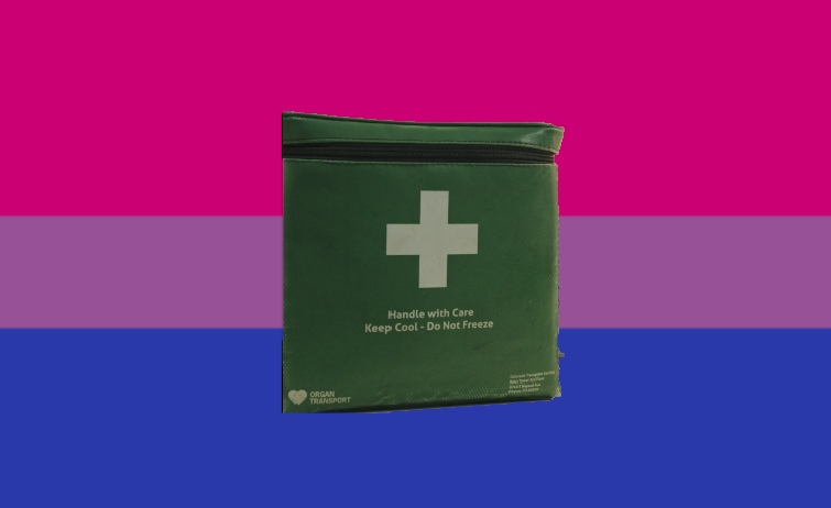 invistafishie's tweet photo. a flag for bisexuals who need to deliver something important to raccoon city general https://t.co/y99nERfSyE