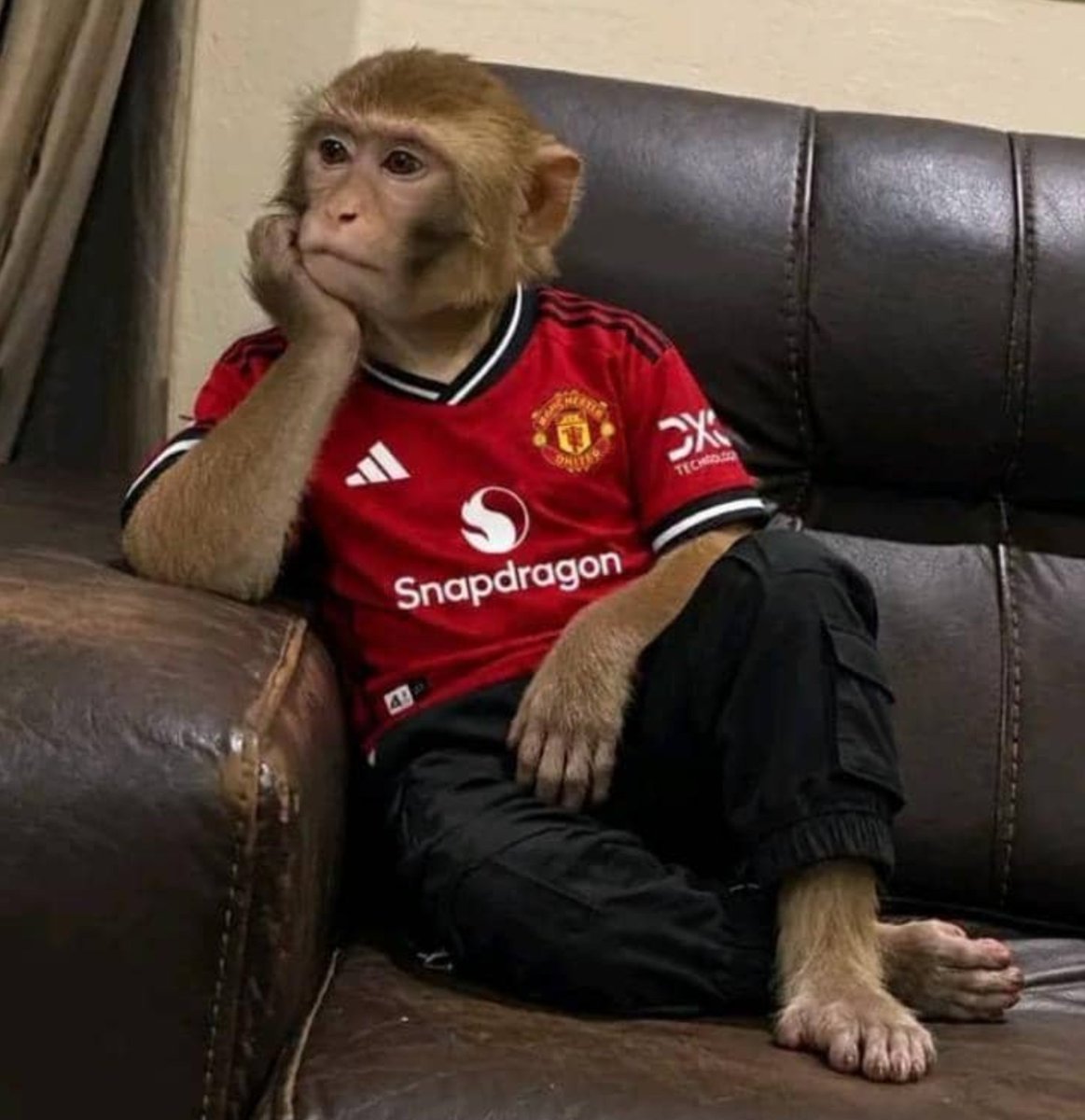 Cruise440's tweet photo. Manchester United was right after all 😫 https://t.co/skXEQlZ6Pg