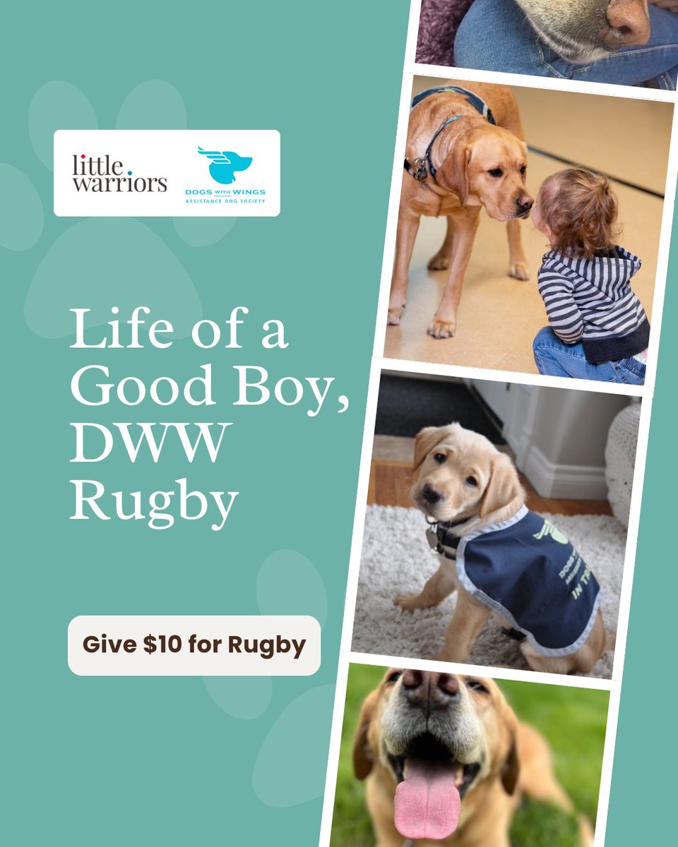 LittleWarriors's tweet photo. Ten years old. A career's worth of quiet, steady presence. DWW Rugby has spent his time at the Be Brave Ranch showing up for kids exactly when they needed it most, no fanfare, just patience. 

Give today, https://t.co/rRECs2d4Cr. #10for10 #RugbyRetires https://t.co/VG863u91vq