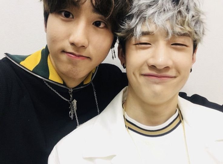bisasevng's tweet photo. Jisung being the first stray kid Chan's found is my favorite thought that keeps me up at night https://t.co/5ZH7RyofRh