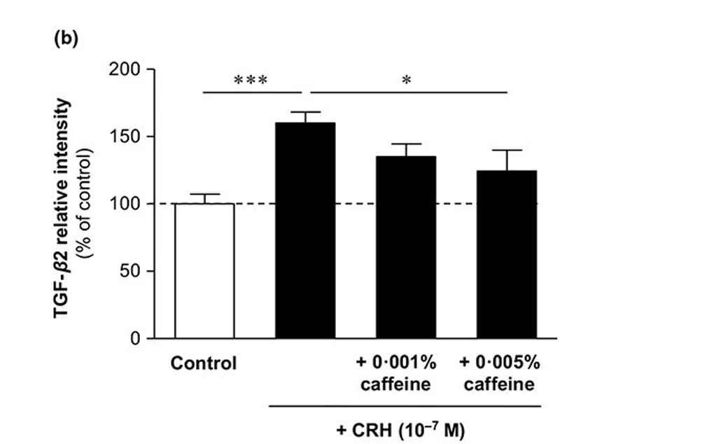 MoreDotHair's tweet photo. CRH raises the catagen inducing factor (TGF)-β2.

Caffeine managed to lower it. https://t.co/u2dCvajRM9