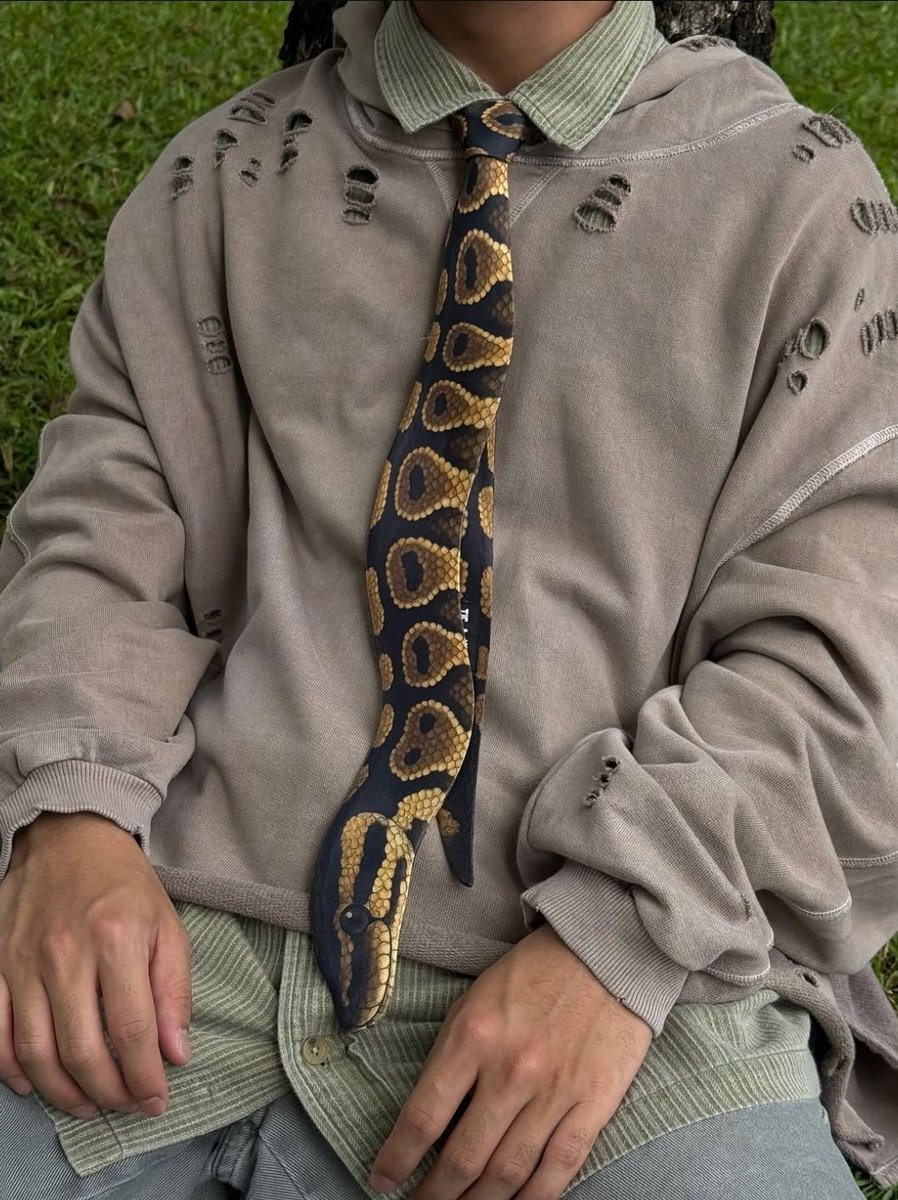 rare_jpg's tweet photo. https://t.co/meSqd8xk2k