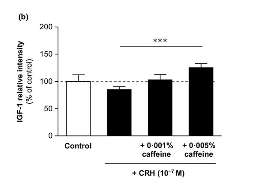 MoreDotHair's tweet photo. We all know that stress speeds up hair loss.

The stress cascade of the HPA axis and it's hormones (CRH,ACTH and cortisol) are all hair growth antagonists.

CRH specifically is known to cause hair loss by raising the catagen inducing factor (TGF)-β2 and inhibiting insulin like growth factor (IGF)-1.

CAFFEINE BLOCKS CRH.
[PMID: 32271938]