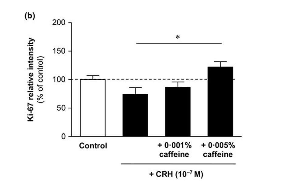 MoreDotHair's tweet photo. CRH also lowered Ki67 (a protein scientists use as a marker to spot which cells are actively dividing).

Caffeine raised Ki67 levels in CRH exposed cells to higher levels than control. https://t.co/oBilVO2FJ3