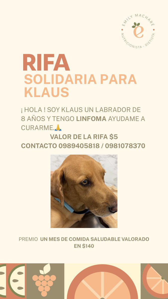Brescianilucho's tweet photo. Mi nutricionista (la que me hizo bajar de peso) está pasando una urgencia con su perrito que tiene cancer. Necesita ayuda para cubrir unos gastos y está haciendo una rifa por planes alimenticios (son buenazos).
   
Cómprenle y si no pueden pues denle RT o FAV que eso ayuda full https://t.co/igkjnbEkdp