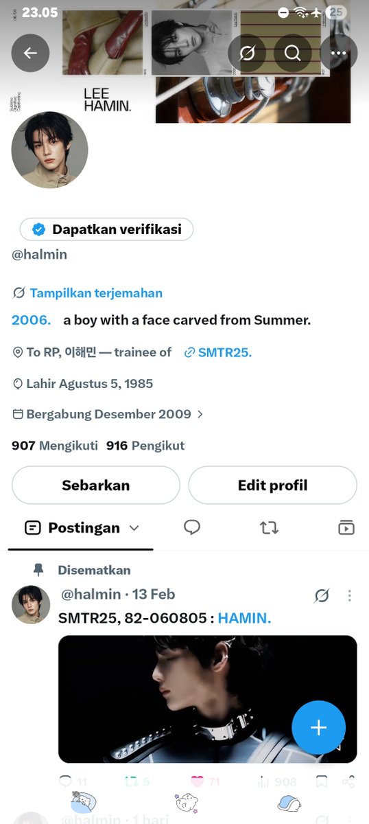halmin tweet picture