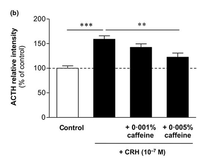 MoreDotHair's tweet photo. As expected, CRH raise ACTH.
This is textbook endocrinolgy...

CAFFEINE LOWERED ACTH. https://t.co/oZVCLGqOcz