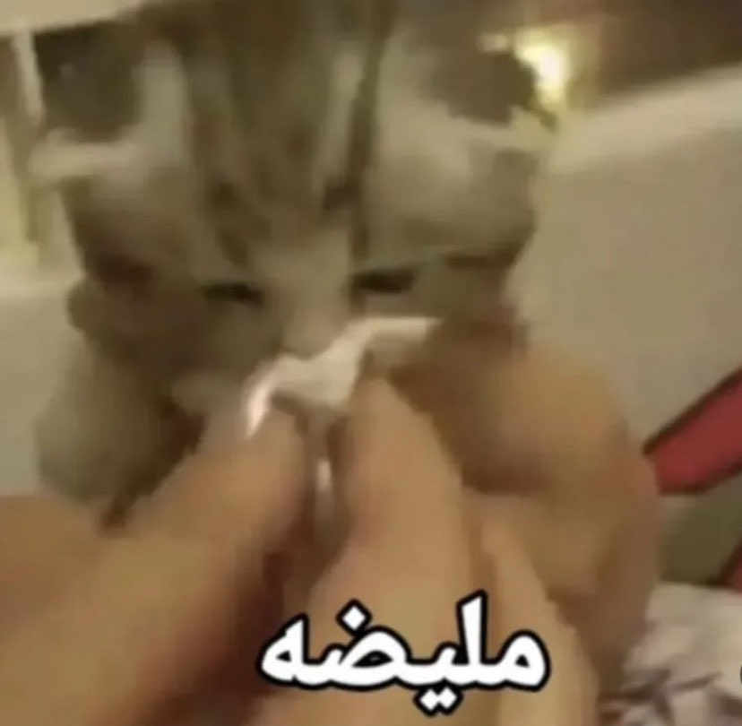 Eiorl2's tweet photo. ياخي وش ذا امرض بعز الصيف https://t.co/MR8tDXzI1i