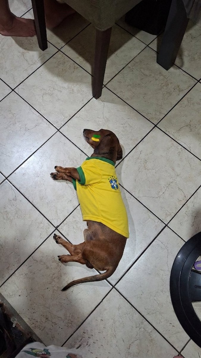 alephios's tweet photo. O menino derrotado com a derrota do Brasil https://t.co/SyT1umvfm5