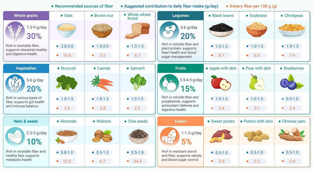 NutrioSci's tweet photo. 6/ Dietary Fiber: The Longevity Hero 

High fiber intake (25-30g+ daily) reduces mortality by up to 23%. 

Fiber feeds gut microbes to produce Short-Chain Fatty Acids (SCFAs), suppressing systemic inflammation.

Recommended fiber sources for a longevity die: https://t.co/xFfzRgSTJT