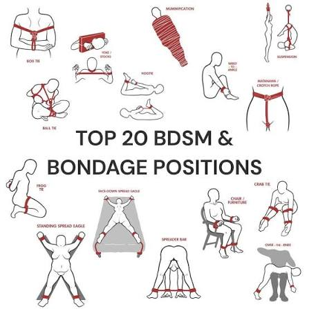 BrieBlueArt's tweet photo. @Wallloather11 Which one is your favorite position? https://t.co/jb5CqfD1gQ