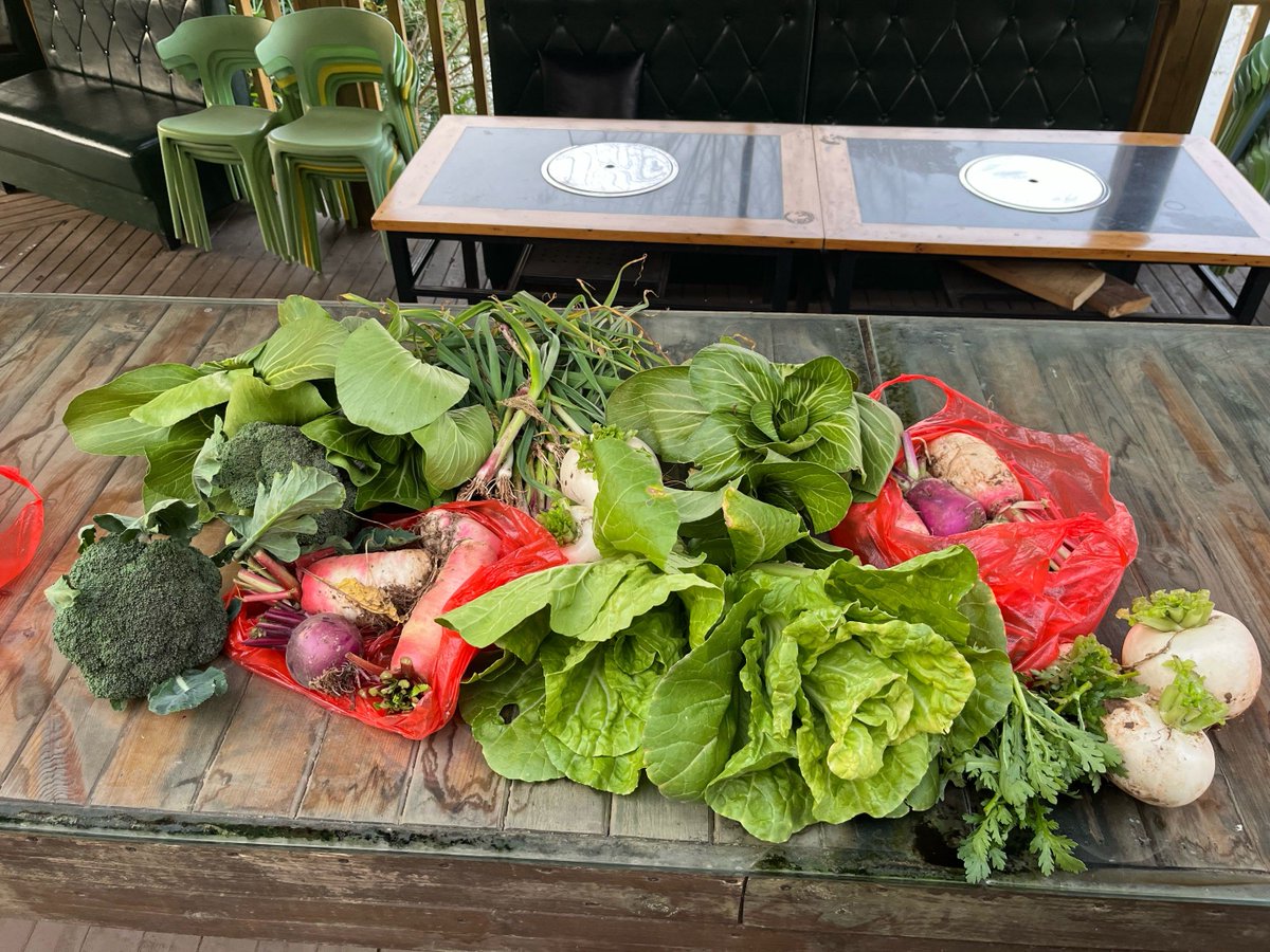 alesj925685's tweet photo. Neighbor potluck today! Brought homemade chocolate chip cookies, got to swap garden veggies with Ms. Li—best way to know your neighborhood! https://t.co/dA7kxBywDg