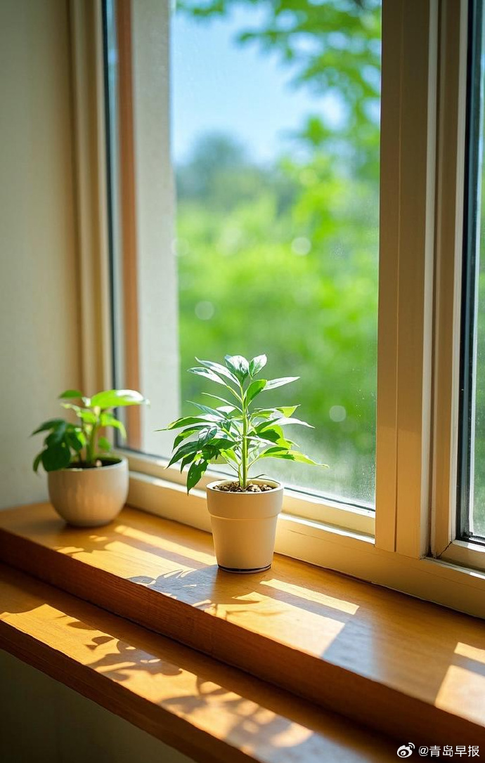 ailma143659's tweet photo. New to photography Start with your phone—lighting makes 90% of the shot. Try backlighting a plant or friend this weekend! https://t.co/3fzuWxoTYd