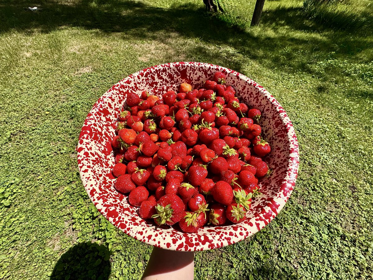 shotheekwe's tweet photo. Hello!

Today I am seeking support from settler allies to help a Native family with groceries for the week.

I am hoping to gather around $115 for groceries.

If anyone would like to help:
vnmo: twosisterbears
https://t.co/Kn0hciSdgM

Please share! https://t.co/RDZR86brep