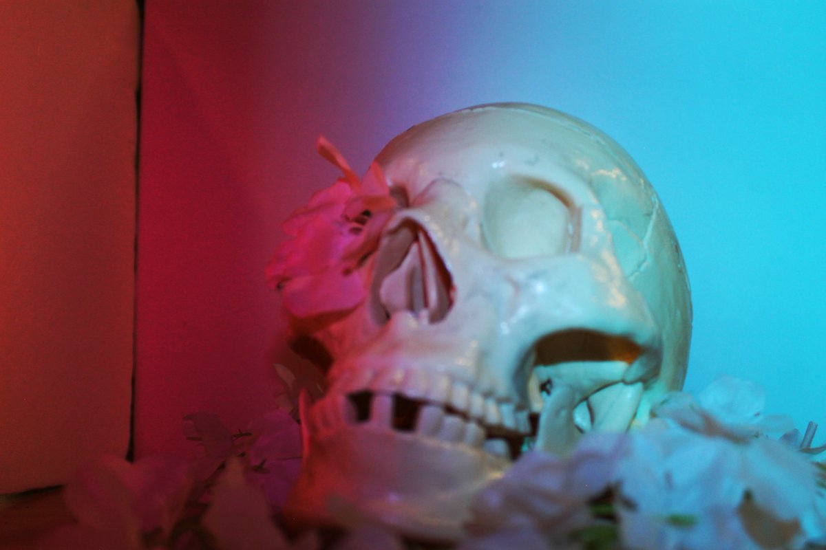 Blue_guy1234's tweet photo. Cool skull (P3) https://t.co/loeISlrBf3