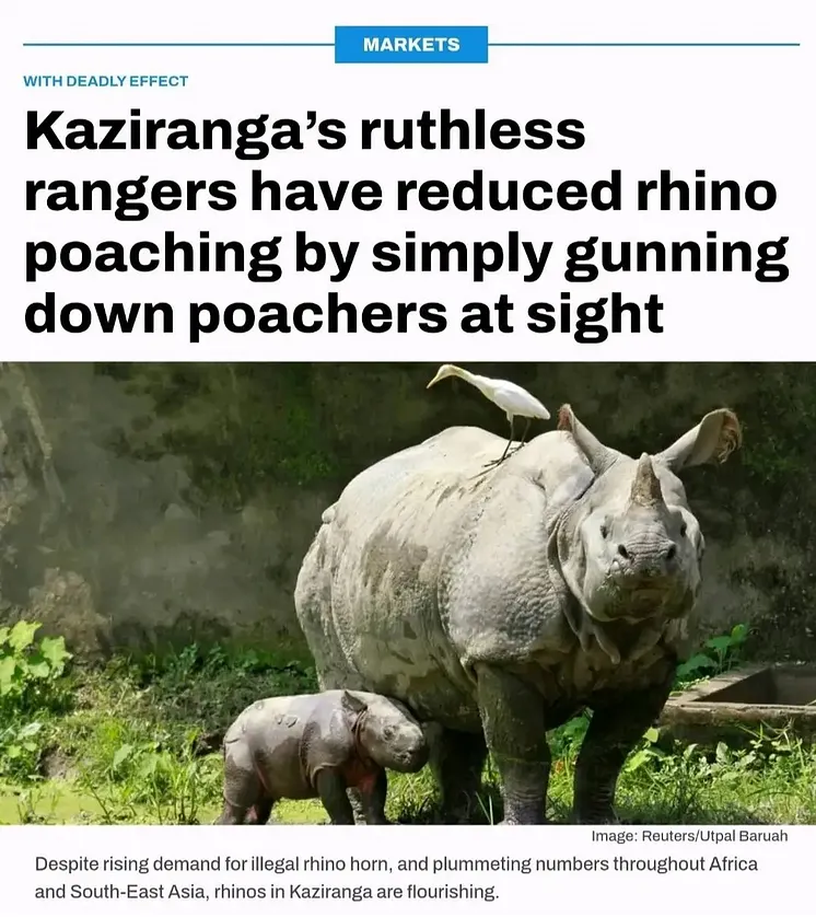 TAmTrib's tweet photo. Most supposed predicaments are really just problems that can be solved by being harsh to the guilty

For example, the rhinos are going extinct, and have been since decolonization removed good governance from Africa

Is the extinction of megafauna inexorable? No. Death squads targeting poachers solve it, and protect God's grandest creatures

That same sort of "fix everything easily switch" solution applies to everything, from pitbulls to property crime, as our ancestors knew

It just requires summoning the proper amount of will