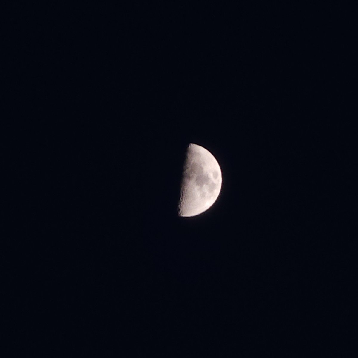 talkingtothemb's tweet photo. 260919🌙 https://t.co/GV4siMwDxP