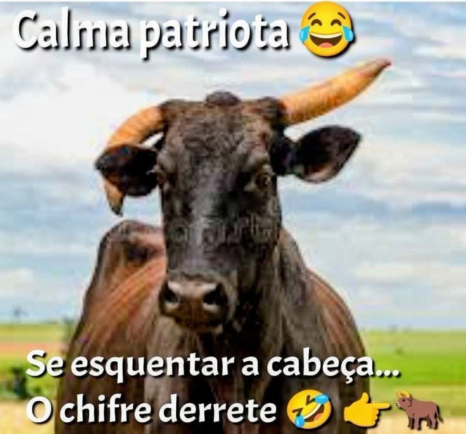 HernandezPreto's tweet photo. @HenriqueSoldani https://t.co/nv36dkJBAU