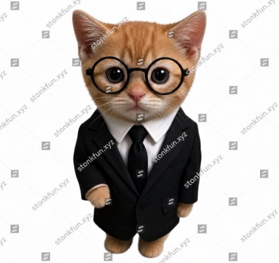 ghostfromearth's tweet photo. @solana $Stockcat on Stocklana https://t.co/LamY5HeRwb