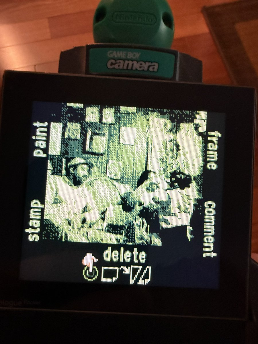 NES_Professor tweet picture