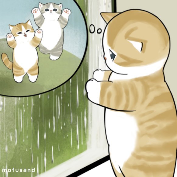 mofu_sand's tweet photo. 雨やまないかな。

あの子に会いたいな。 https://t.co/ssASIZCeFk