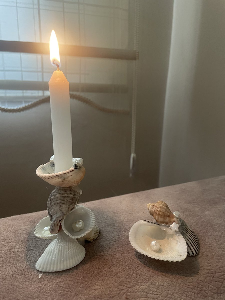 ilaydaaayaaa's tweet photo. ailemize samdan ve tutsuluk katildi. (tutsulugun altinda ahsap bir plaka koyacagim tutsunun dokulen kismi icin) https://t.co/9iAmJkeCng