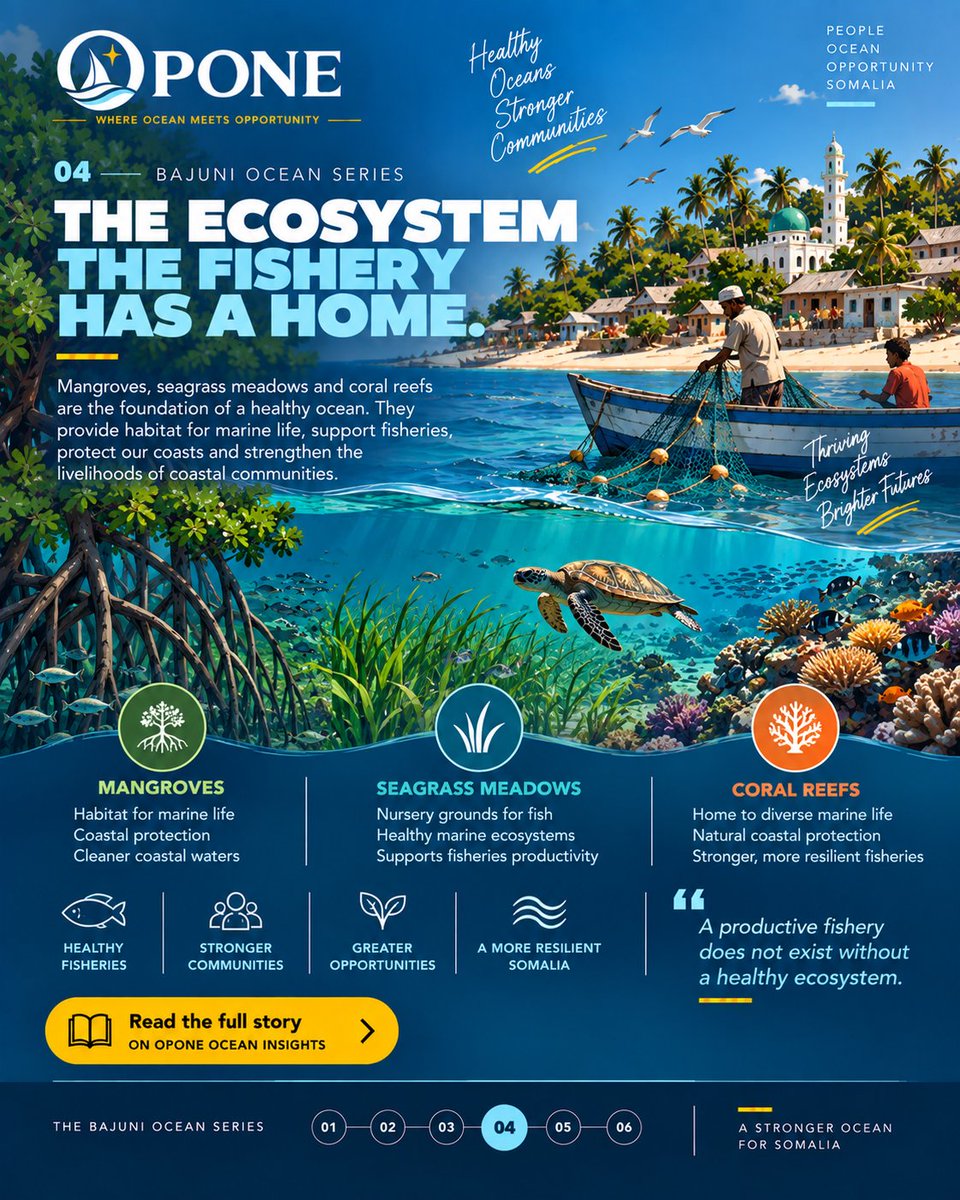 opone_so's tweet photo. 🌊 THE BAJUNI OCEAN

Our series explores how people, fisheries, ecosystems, markets and knowledge connect across the Bajuni Archipelago—and what this means for Somalia’s Blue Economy.

Read the full Ocean Insights editorial
https://t.co/R8ibSFfwPa

#Bajuni #Somalia #OPONE https://t.co/xItUGL6DhB