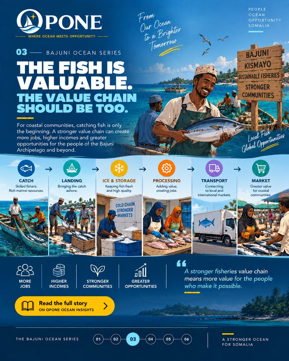 opone_so's tweet photo. 🌊 THE BAJUNI OCEAN

Our series explores how people, fisheries, ecosystems, markets and knowledge connect across the Bajuni Archipelago—and what this means for Somalia’s Blue Economy.

Read the full Ocean Insights editorial
https://t.co/R8ibSFfwPa

#Bajuni #Somalia #OPONE https://t.co/xItUGL6DhB