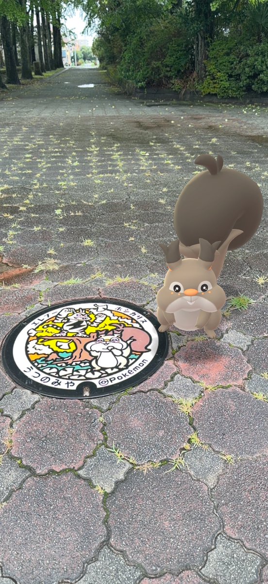 famil___13's tweet photo. おれのお気に入りの1枚🙂
 #ポケモンGO
 #ポケふた https://t.co/1kVqN4Dt5P