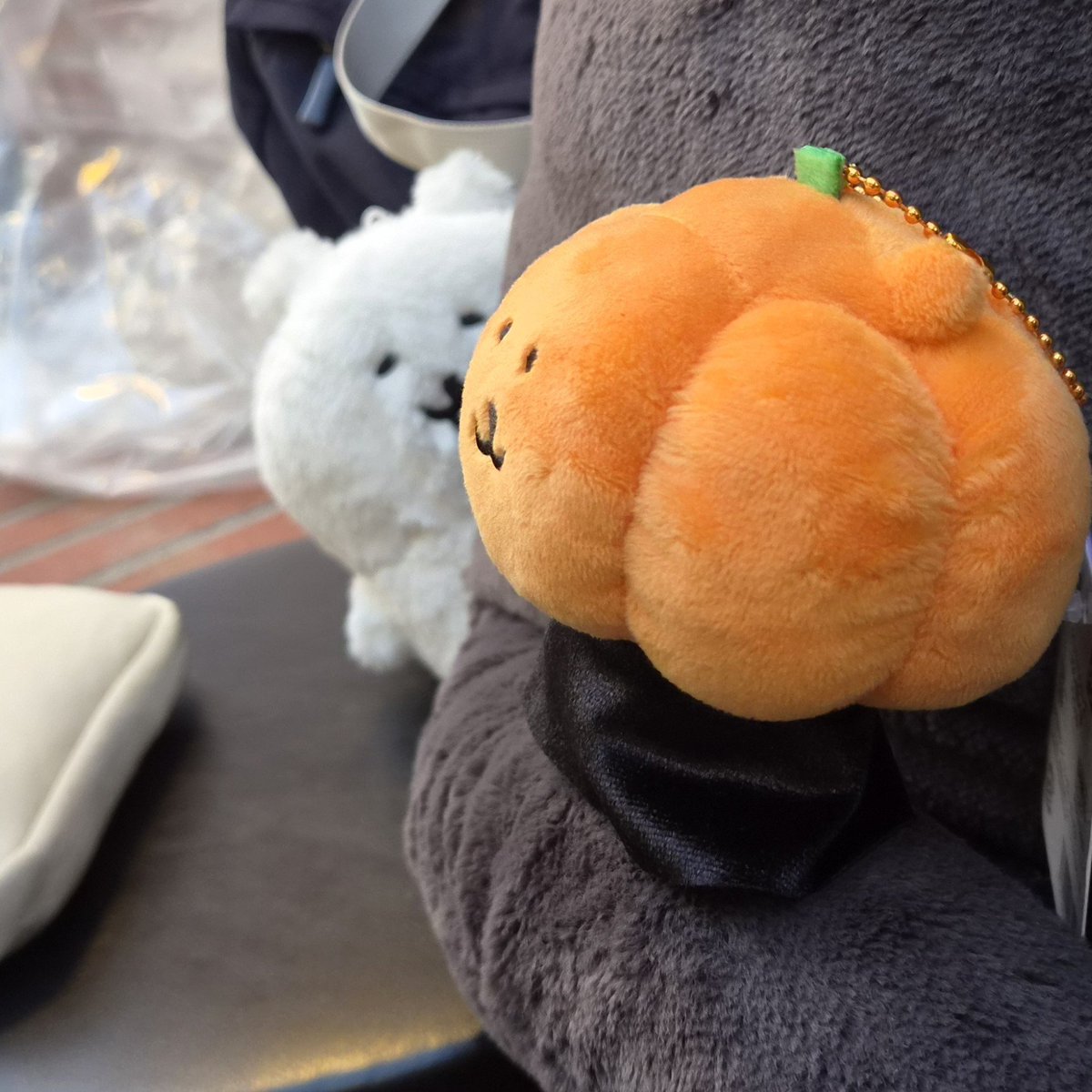 Il_ragnetia's tweet photo. 잠시 카페서 놀다가 포코피아를 갔는데 사실 포코피아 냐님만 되어서()  혼자 다녀오심. 영통으로 대리구경해따. 
히히 나름 이것저것사서 해삐오즈됨.
돌아가는 길에 나가노서 쿠지 한판 더 뛰려고 했는데 오늘 영업종료(...) 힝!
그리고 여담으로 냐님에게 치이카와 포스터 안드림() https://t.co/zjg8JdNxOA