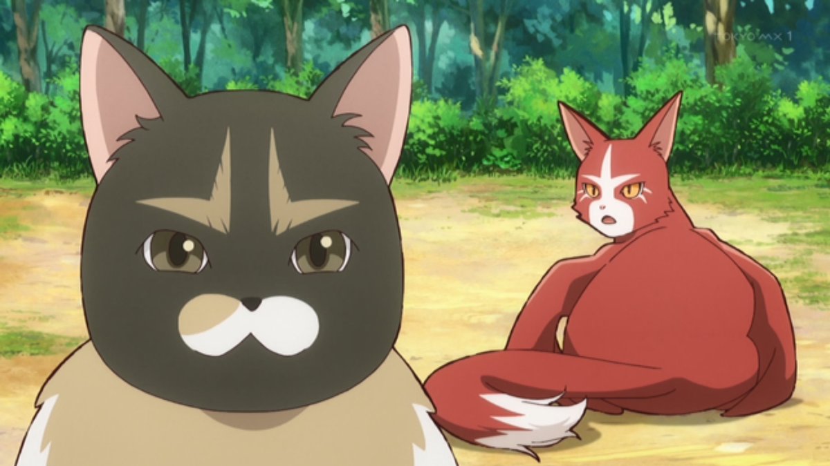 猫と竜 第12話 ツイート画像 1