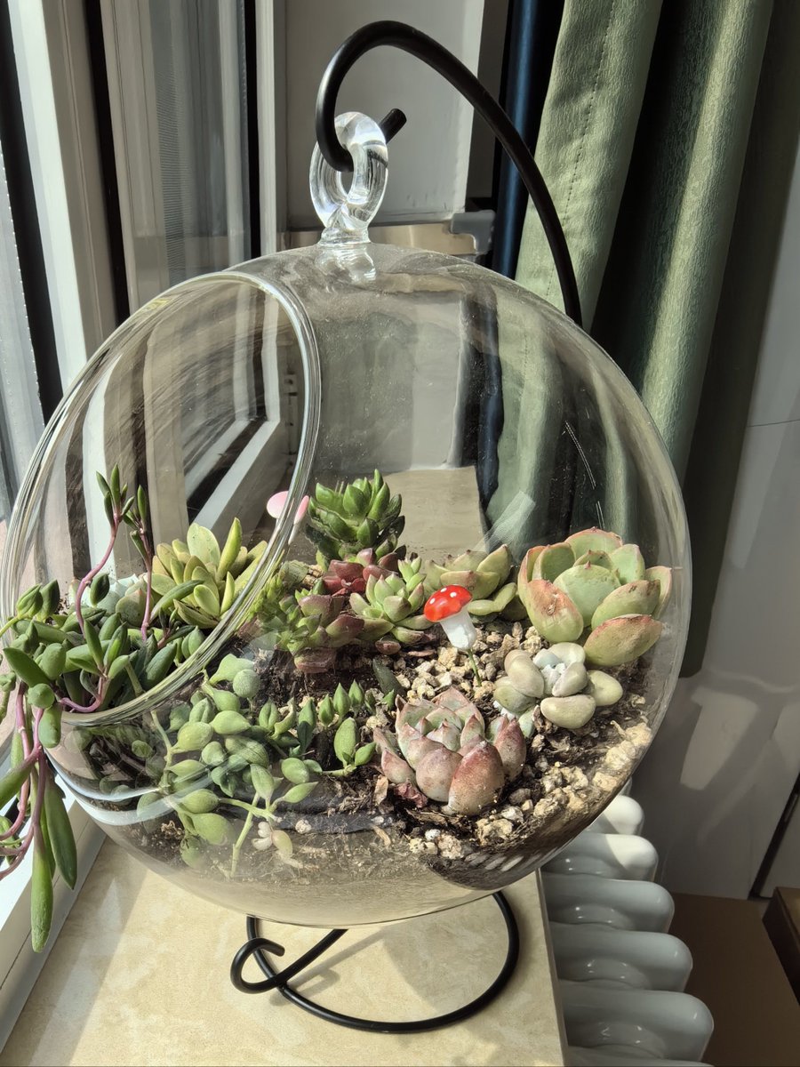 bloox695740's tweet photo. Just upcycled old glass jars into cute succulent planters with macramé hangers—zero new materials bought, so satisfying! ， https://t.co/Jb1x9kT8AU