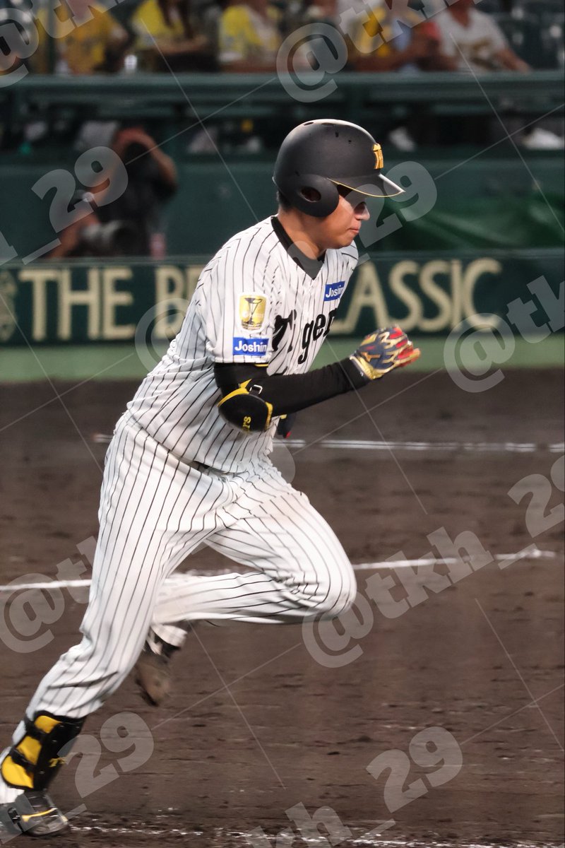 tkh_29's tweet photo. 相変わらずﾊﾞﾝﾄは上手いし
何事にも全力ﾌﾟﾚｰなはるとさんがすき‼️

2026.09.17 📍阪神甲子園球場
#髙橋遥人 選手 https://t.co/b1bVMC8TFC