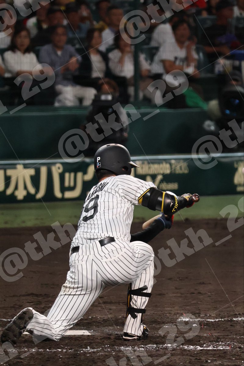 tkh_29's tweet photo. 相変わらずﾊﾞﾝﾄは上手いし
何事にも全力ﾌﾟﾚｰなはるとさんがすき‼️

2026.09.17 📍阪神甲子園球場
#髙橋遥人 選手 https://t.co/b1bVMC8TFC