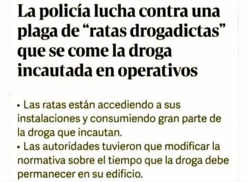 ArteYAnarquia's tweet photo. Baia, baia… ratas, eh? https://t.co/7tw0HehhuS