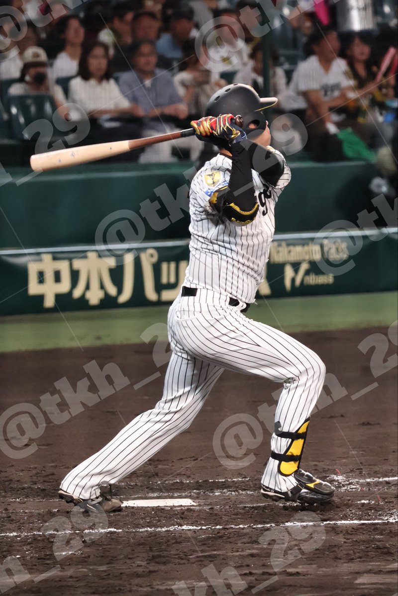 tkh_29's tweet photo. 打席はるとさん⚾️

2枚目楽しそうでこちらまで笑顔に🌷

2026.09.17 📍阪神甲子園球場
#髙橋遥人 選手 https://t.co/exfZSVFeop