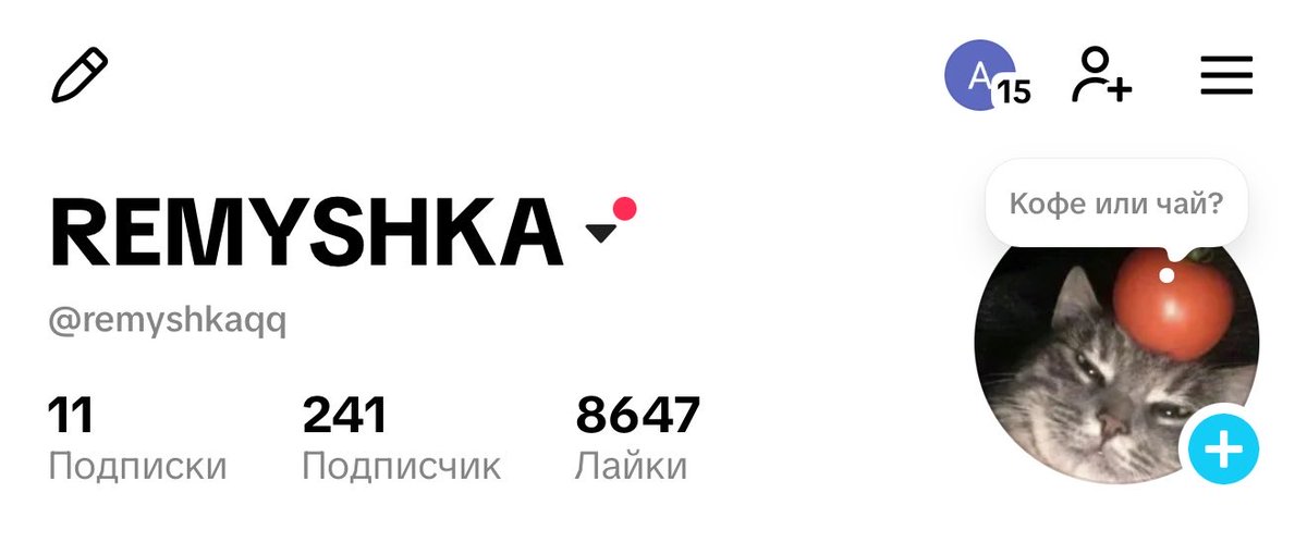 mur_n_meow's tweet photo. Как ваще в тг трафик перегонять, у меня даже в тик токе и то подписчиков больше блять https://t.co/DC0GJUlT6J
