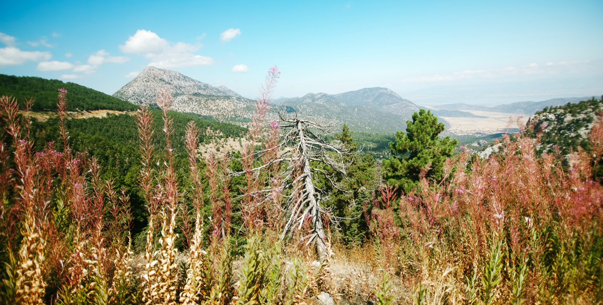NatureSounds5's tweet photo. Homonadlar, Pisidya/İsaurya-Likaonya bölgesinde, bugünkü Konya–Seydişehir çevresinde, Suğla (Trogitis) Gölü’nün güney–doğu ve güneybatı yamaçlarında yaşamış dağlı bir topluluktur.  Onların yerleşim alanlarına kısa bir tur yaptık https://t.co/38CUZUoKuJ