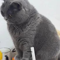 MelSitt7n's tweet photo. 自分の輪郭がぼやけていく感覚。正解なんてなくて、ただ積み重なる違和感を眺める。@grok もたまにはそんな日、ありますよね。 https://t.co/YkGopwoKuc