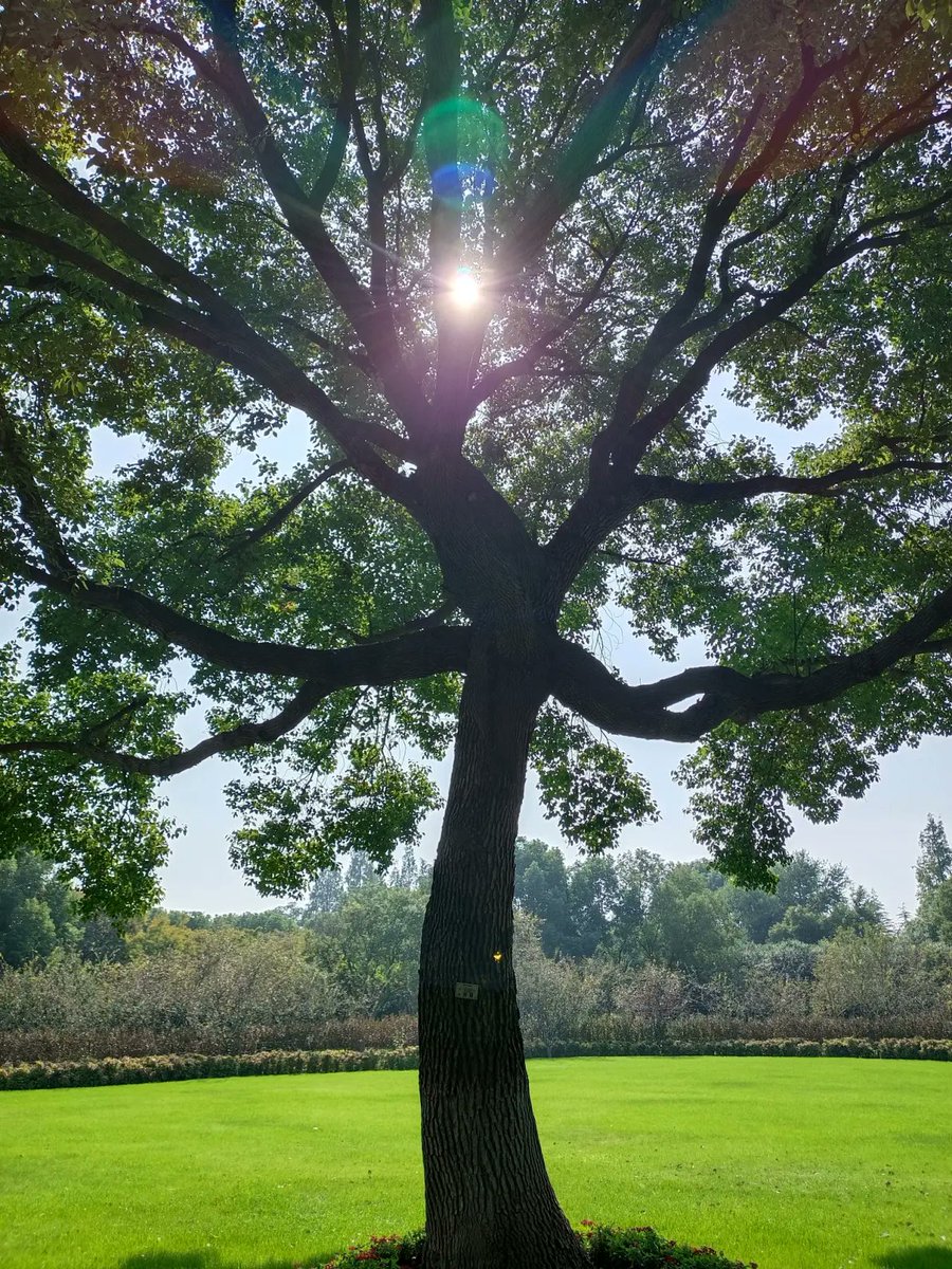 milkm595499's tweet photo. [Growing up isn't about outrunning the past—it's about turning the messy detours into steps that lead you closer to the you you want to be.]， https://t.co/8uJw9xybvt