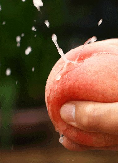 aliou460451's tweet photo. Just bit into this sun-warmed peach—juice running down my wrist, taste like summer bottled right here.  #SummerBites， https://t.co/DsIVAjiqBY