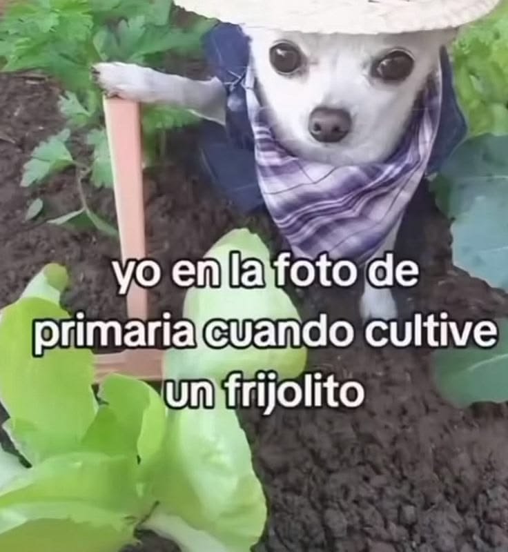 mmarinavidal's tweet photo. https://t.co/AZfVzP0bIX