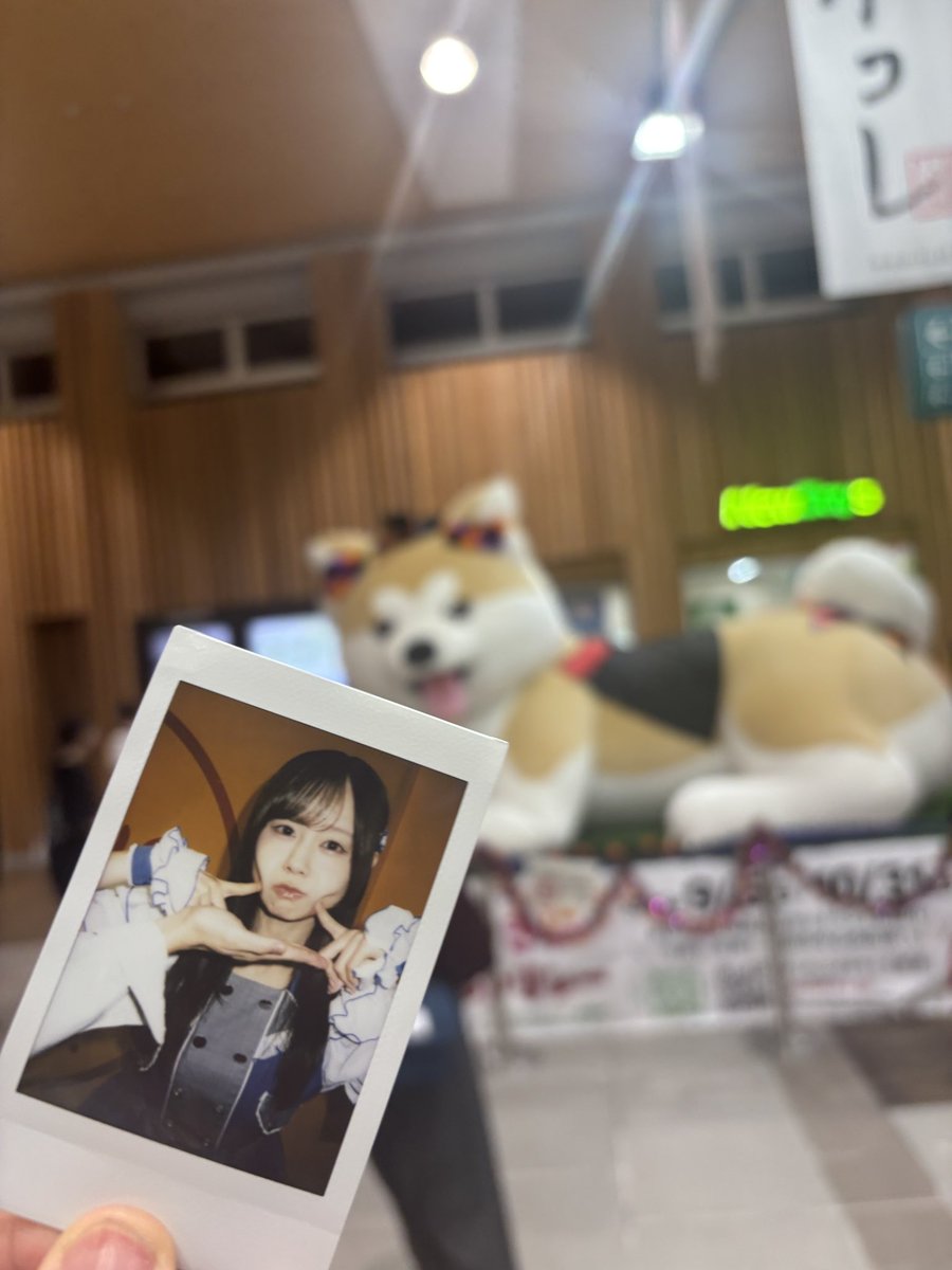 s30202002's tweet photo. 秋田着いたー

言われて思ったけど、意外に秋田犬見たことないなー https://t.co/mLglKU9uwe